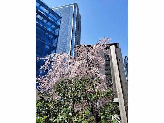 納骨堂【 櫻花廟(おうかびょう)】