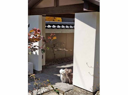 納骨堂【 櫻花廟(おうかびょう)】