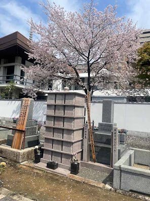 浄国寺 土橋町永代供養墓「あおそら・さくら」