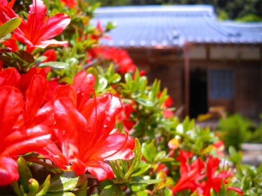 長徳寺 樹木葬