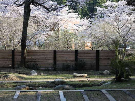 長徳寺 樹木葬