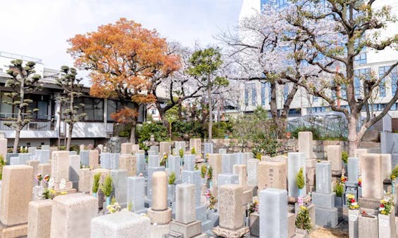 偲墓 南金山 大仙寺