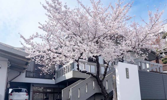 偲墓 南金山 大仙寺