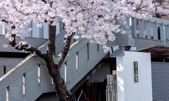 偲墓 南金山 大仙寺