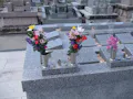樹木葬 やすらぎ 小須戸