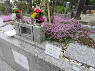 樹木葬 やすらぎ 佐渡
