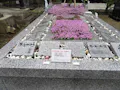 樹木葬 やすらぎ 佐渡