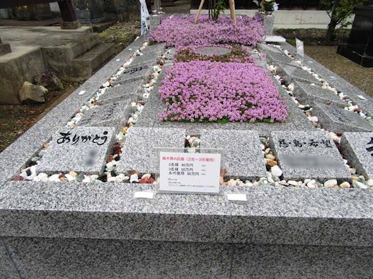 樹木葬 やすらぎ 佐渡