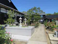 樹木葬 やすらぎ 佐渡