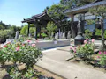 樹木葬 やすらぎ 佐渡