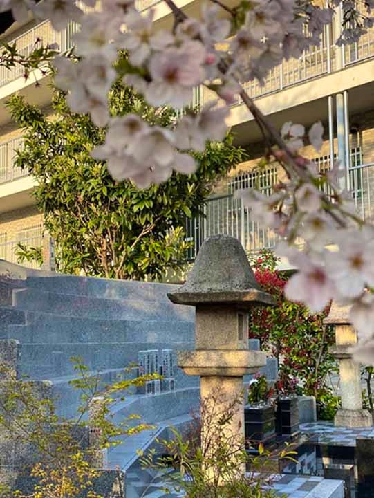 郡家墓地 樹木葬