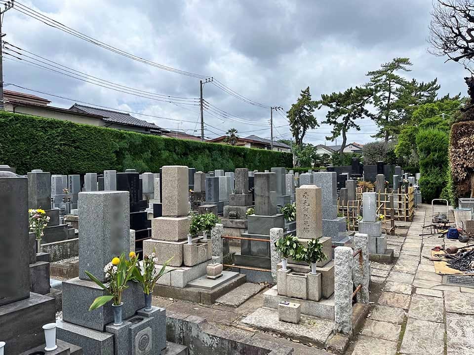 真宗高田派 臥龍山 南松寺