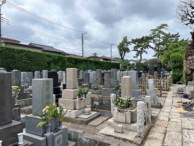 真宗高田派 臥龍山 南松寺