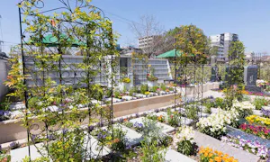 國相寺墓苑樹木葬 TREE GARDEN(佐賀市)の樹木葬