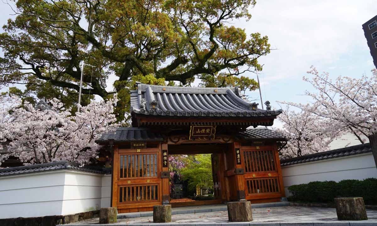 國相寺墓苑樹木葬 TREE GARDENの画像