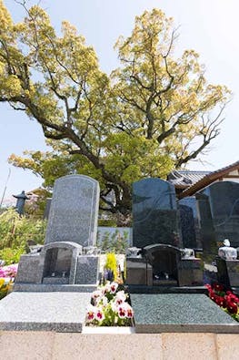 國相寺墓苑樹木葬 TREE GARDEN