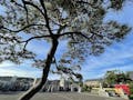 新潟・大仙寺 樹木葬「永樹墓」 境内風景