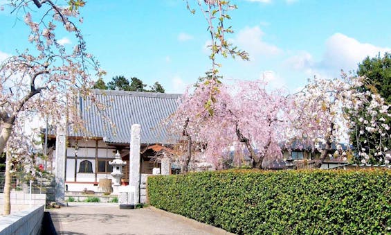 ふじみ桂葉霊園 樹木葬墓苑