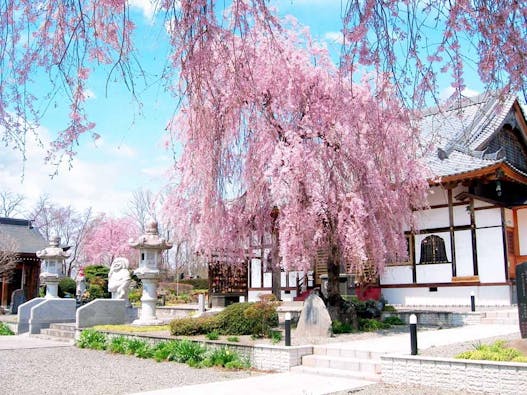 ふじみ桂葉霊園 樹木葬墓苑