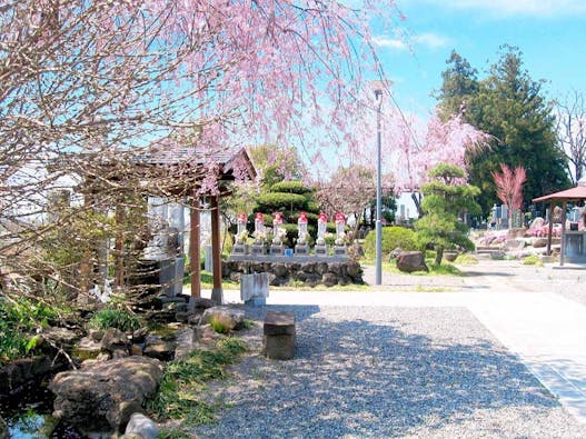 ふじみ桂葉霊園 樹木葬墓苑