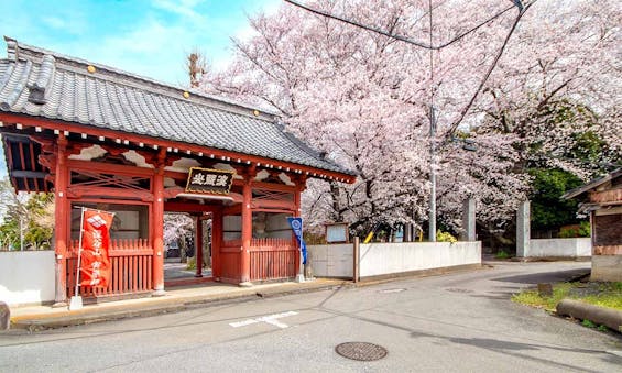 瑠璃光寺 永代供養墓・樹木葬