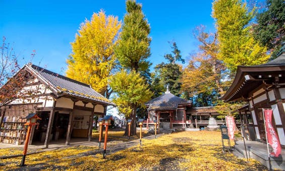 瑠璃光寺 永代供養墓・樹木葬