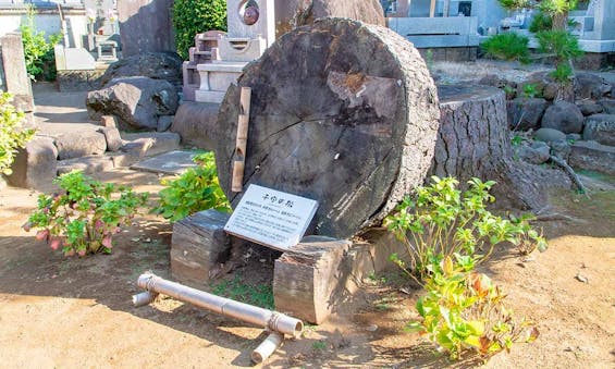 誓欣院 永代供養墓・樹木葬