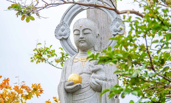 唐津市 大乗寺  永代供養墓・樹木葬