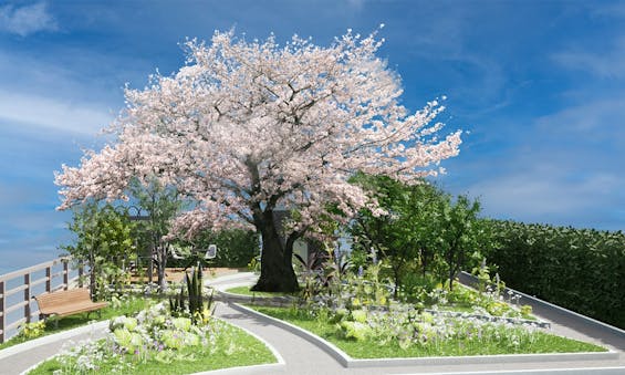 樹木葬 田無さくら庭園