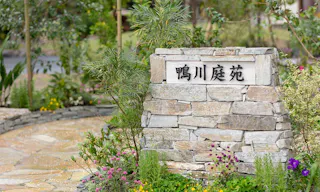 樹⽊葬 掛松寺 鴨川庭苑