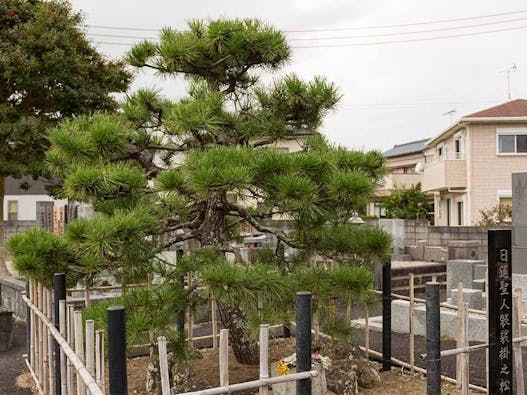 樹⽊葬 掛松寺 鴨川庭苑