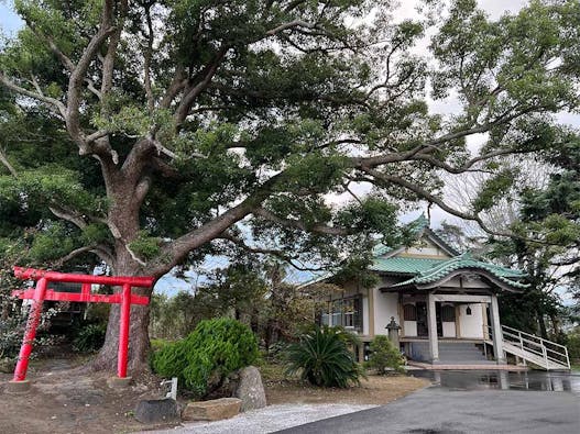 樹⽊葬 掛松寺 鴨川庭苑