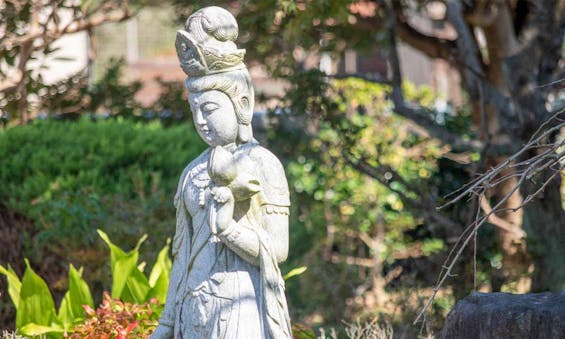 万福寺 永代供養墓・樹木葬