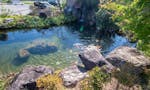 万福寺 永代供養墓・樹木葬 日本庭園を思わせる滝のある池