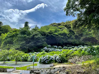 樹木葬あじさい霊園