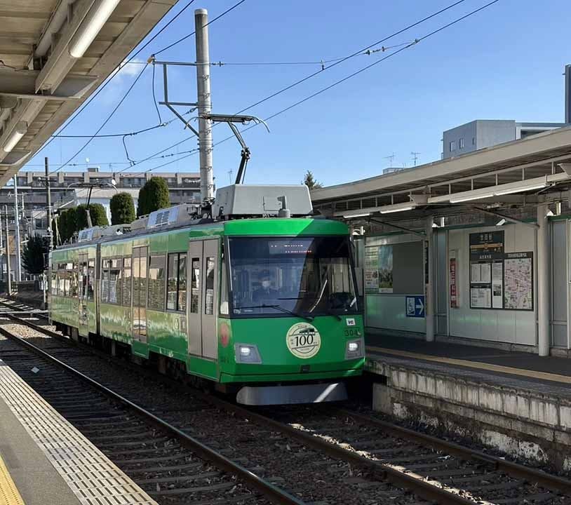 世田谷霊園 大吉寺