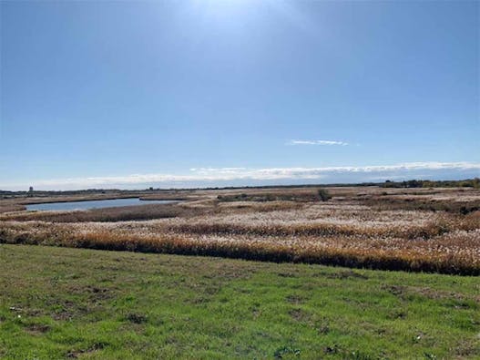 「野木ほたるの水辺」樹木葬墓地