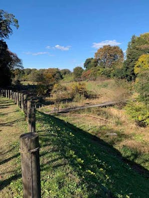 「野木ほたるの水辺」樹木葬墓地