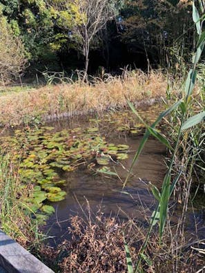 「野木ほたるの水辺」樹木葬墓地