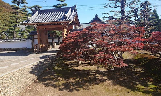 天澤院 永代供養・合祀墓