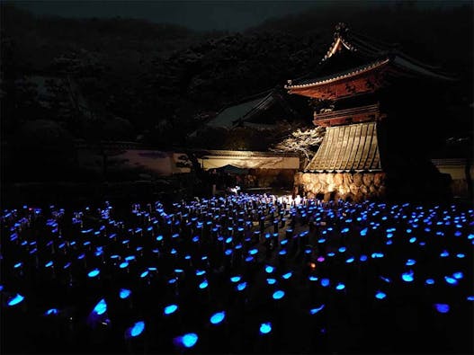 天澤院 永代供養・合祀墓