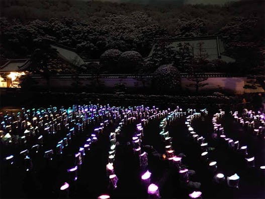 天澤院 永代供養・合祀墓