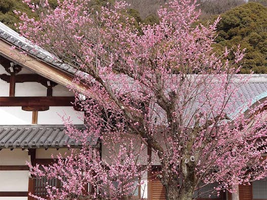 天澤院 永代供養・合祀墓