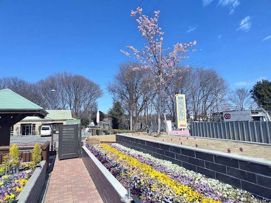 新所沢メモリアルパーク 樹木葬・合葬墓