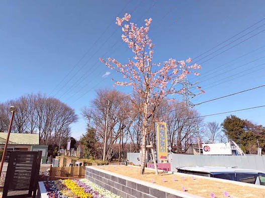 新所沢メモリアルパーク 樹木葬・合葬墓