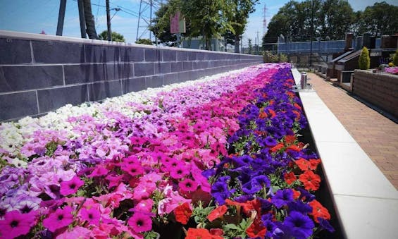 新所沢メモリアルパーク 樹木葬・合葬墓