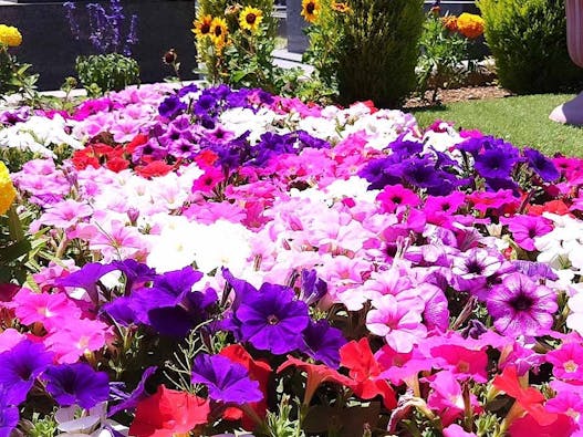 新所沢メモリアルパーク 樹木葬・合葬墓