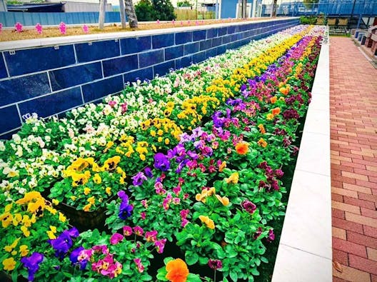 新所沢メモリアルパーク 樹木葬・合葬墓