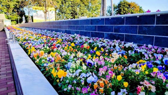 新所沢メモリアルパーク 樹木葬・合葬墓