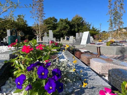 念佛寺 永代供養樹木葬